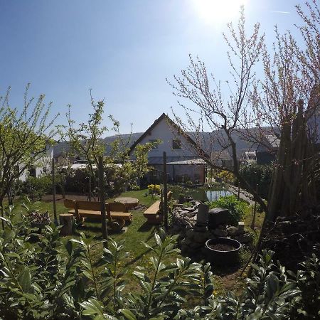 Moselie Ferienwohnung Kinheim Mosel エクステリア 写真