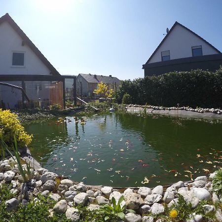 Moselie Ferienwohnung Kinheim Mosel エクステリア 写真