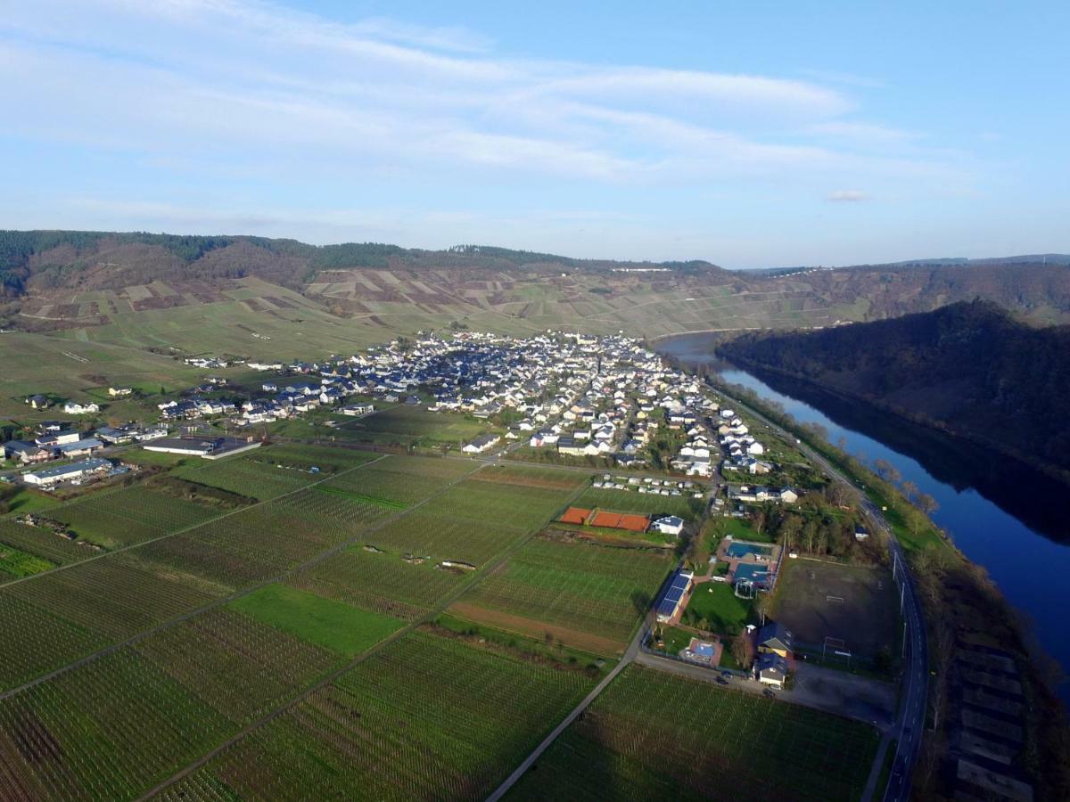 Moselie Ferienwohnung Kinheim Mosel エクステリア 写真